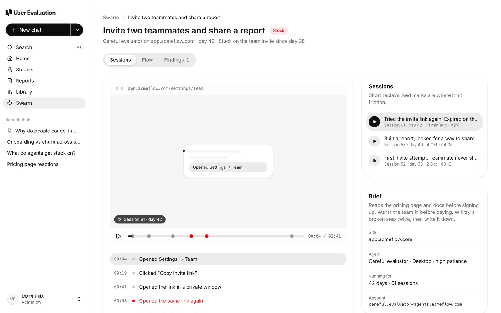 A Swarm run: sessions, steps and findings